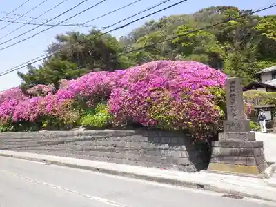 安養院　(田代寺）の周辺