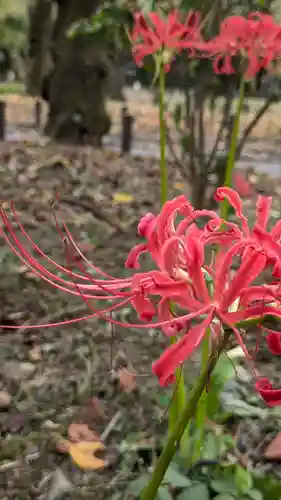 平野神社(京都府)