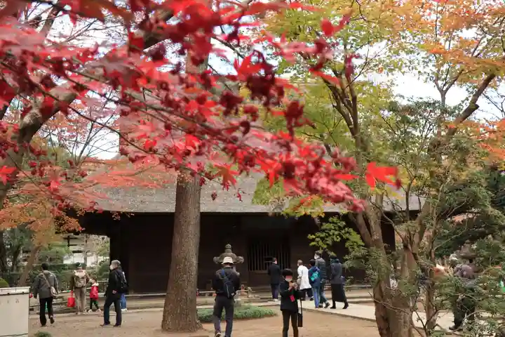 平林寺(埼玉県)