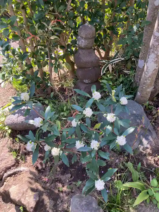 光照寺(神奈川県)
