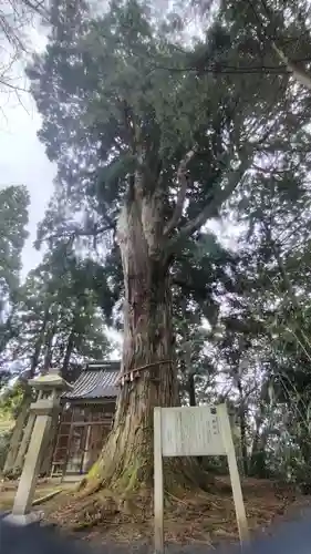 栴谷神社(富山県)