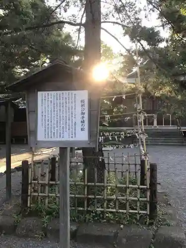 井草八幡宮の自然