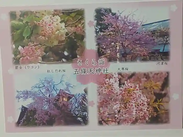 五條天神社の御朱印