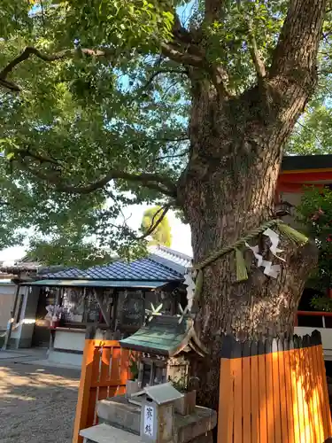 我堂八幡宮(大阪府)