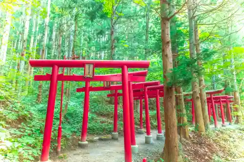 萬蔵稲荷神社の鳥居