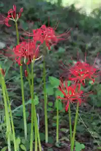 国宝 大法寺(長野県)(2024年09月14日(土) 11時40分29秒投稿)