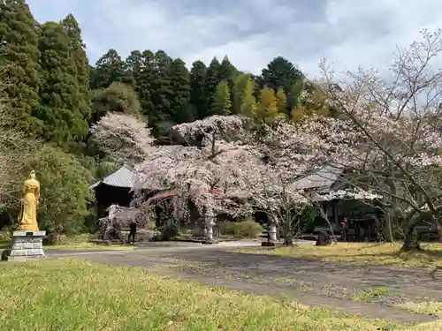 成願寺(千葉県)