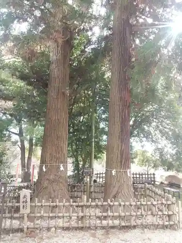 大田原神社(栃木県)
