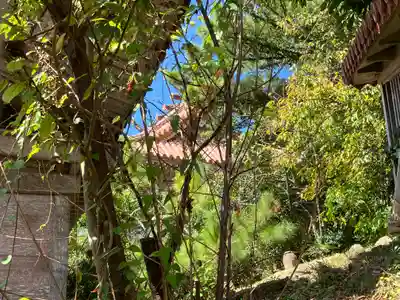 普天満宮の本殿・本堂