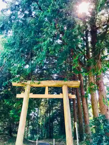 猿田神社の鳥居