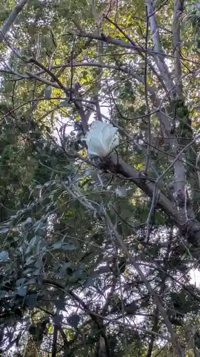 勝林寺(京都府)