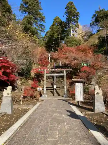 半僧坊大権現の建物その他