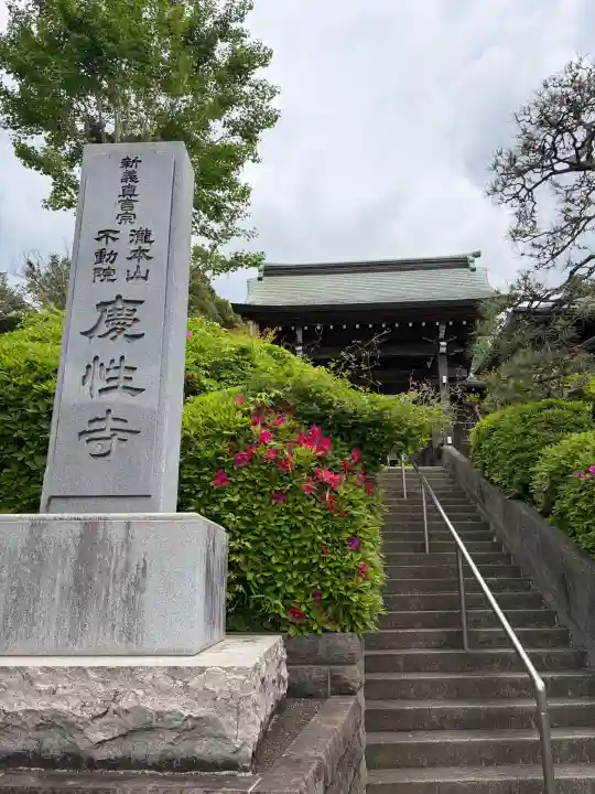 慶性寺の{uncategorized: "未分類", other: "その他", undefined: "問題あり", building: "その他建物", grave: "お墓", sacred_gate: "鳥居", guardian: "狛犬", statue: "像", buddha: "仏像", history: "歴史", nature: "自然", garden: "庭園", animal: "動物", pagoda: "塔", temizu: "手水舎", mountain_gate: "山門・神門", sanctuary: "本殿・本堂", subordinate: "末社・摂社", art: "芸術", scenery: "景色", jizo: "地蔵", ema: "絵馬", goshuin: "御朱印", omikuji: "おみくじ", items: "授与品その他", amulet: "お守り", goshuincho: "御朱印帳", eats: "食事", festival: "お祭り", votive_dance: "神楽", shichigosan: "七五三参", wedding: "結婚式", experience: "体験その他", initially: "初詣", around: "周辺", anti_infection: "感染症対策"}