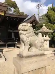 荒井神社の狛犬