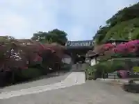 安養院 (田代寺)(神奈川県)