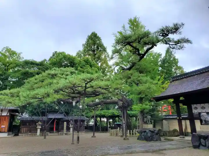 立木神社の自然