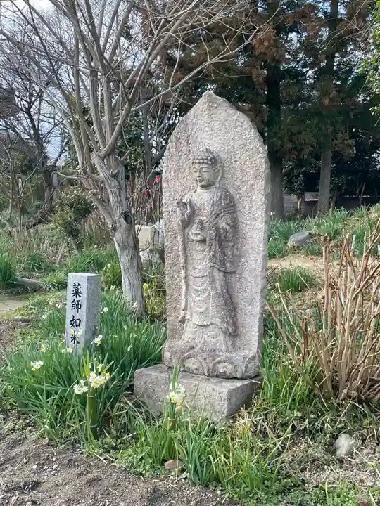 般若寺 ❁コスモス寺❁(奈良県)