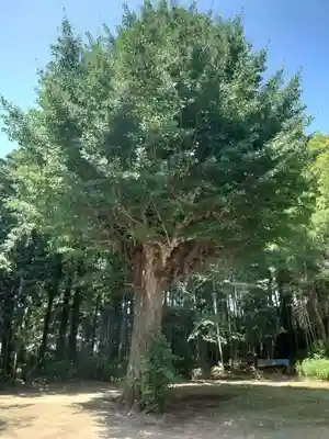 神岡稲荷神社(茨城県)