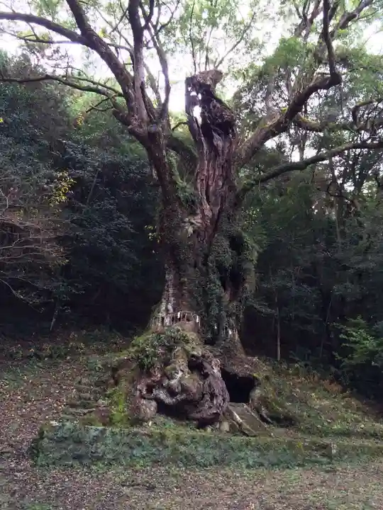 武雄神社(佐賀県)