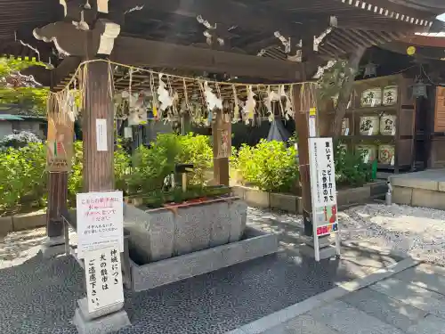 白山神社の{uncategorized: "未分類", other: "その他", undefined: "問題あり", building: "その他建物", grave: "お墓", sacred_gate: "鳥居", guardian: "狛犬", statue: "像", buddha: "仏像", history: "歴史", nature: "自然", garden: "庭園", animal: "動物", pagoda: "塔", temizu: "手水舎", mountain_gate: "山門・神門", sanctuary: "本殿・本堂", subordinate: "末社・摂社", art: "芸術", scenery: "景色", jizo: "地蔵", ema: "絵馬", goshuin: "御朱印", omikuji: "おみくじ", items: "授与品その他", amulet: "お守り", goshuincho: "御朱印帳", eats: "食事", festival: "お祭り", votive_dance: "神楽", shichigosan: "七五三参", wedding: "結婚式", experience: "体験その他", initially: "初詣", around: "周辺", anti_infection: "感染症対策"}