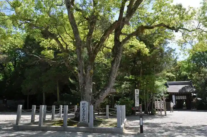 伊弉諾神宮の自然