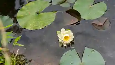十輪寺(京都府)