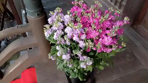 阿邪訶根神社の自然