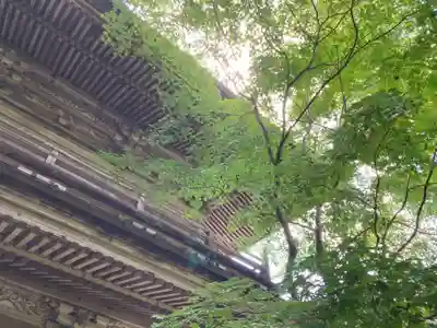 青龍山 吉祥寺(群馬県)