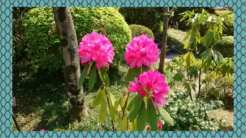冠稲荷神社(群馬県)