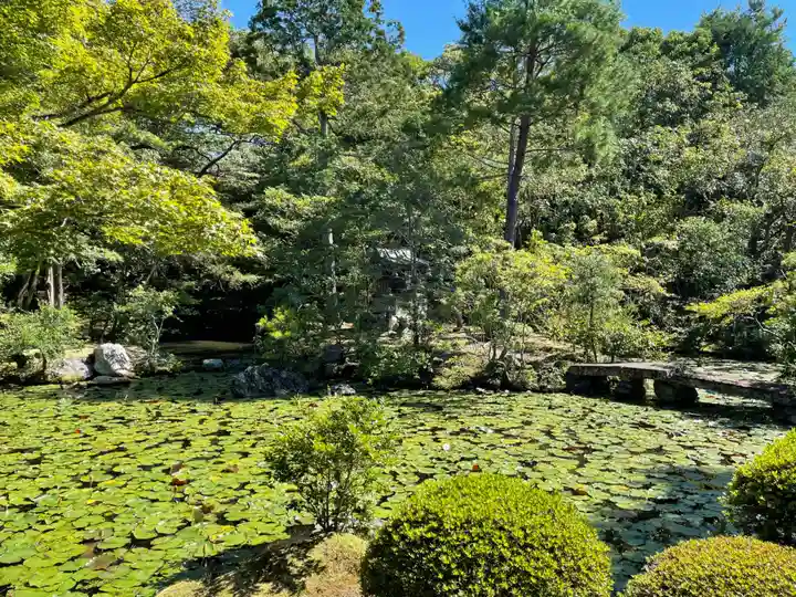 金地院(京都府)