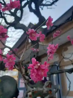 穏田神社(東京都)