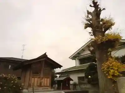 一言神社の自然