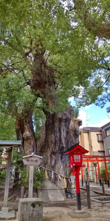 神田天満宮(大阪府)