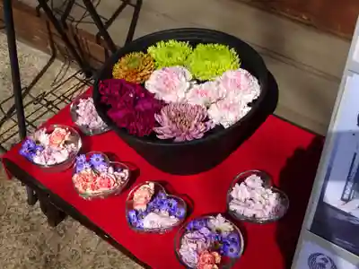 法輪寺の芸術
