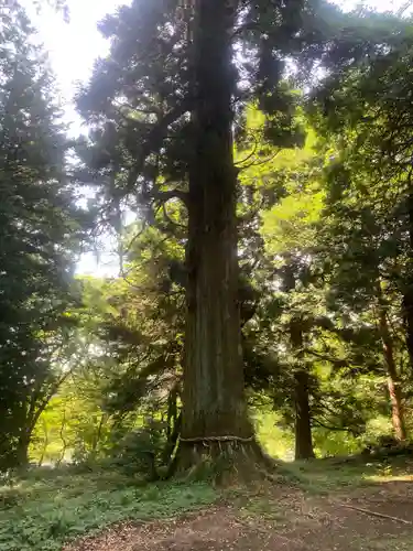 白河神社(福島県)