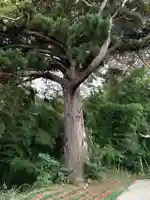 熊野大神(千葉県)