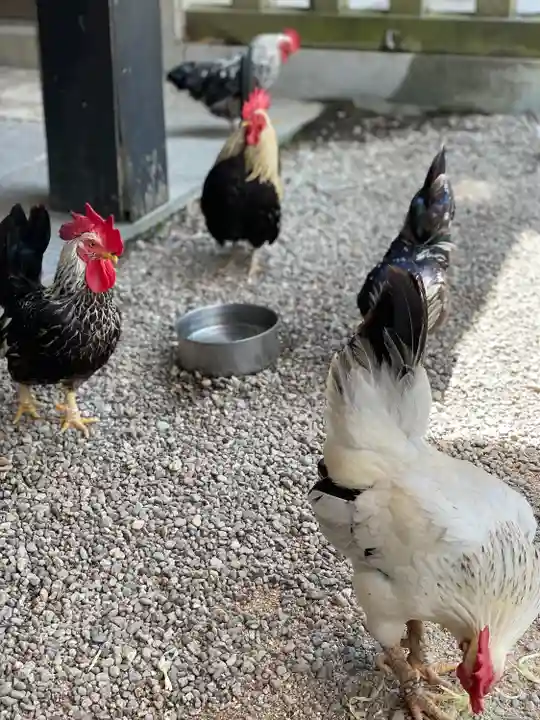 大崎八幡宮(宮城県)