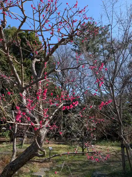 布多天神社(東京都)