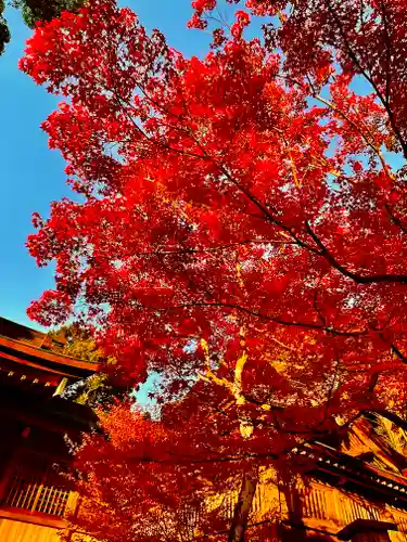 宝満宮竈門神社(福岡県)