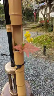 常照寺(京都府)