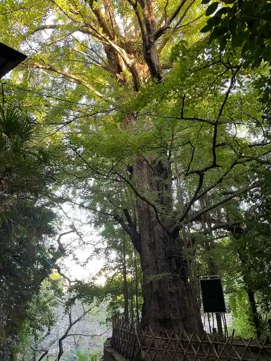 王子神社(東京都)