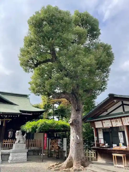 お三の宮日枝神社(神奈川県)