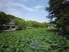 旗上弁財天社(神奈川県)