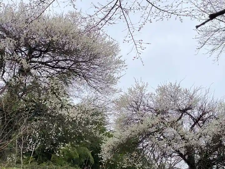 蓮蔵寺(福島県)