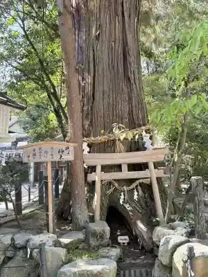 大村神社の{uncategorized: "未分類", other: "その他", undefined: "問題あり", building: "その他建物", grave: "お墓", sacred_gate: "鳥居", guardian: "狛犬", statue: "像", buddha: "仏像", history: "歴史", nature: "自然", garden: "庭園", animal: "動物", pagoda: "塔", temizu: "手水舎", mountain_gate: "山門・神門", sanctuary: "本殿・本堂", subordinate: "末社・摂社", art: "芸術", scenery: "景色", jizo: "地蔵", ema: "絵馬", goshuin: "御朱印", omikuji: "おみくじ", items: "授与品その他", amulet: "お守り", goshuincho: "御朱印帳", eats: "食事", festival: "お祭り", votive_dance: "神楽", shichigosan: "七五三参", wedding: "結婚式", experience: "体験その他", initially: "初詣", around: "周辺", anti_infection: "感染症対策"}