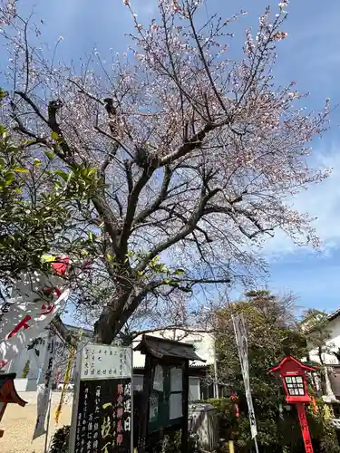 尾張猿田彦神社(愛知県)