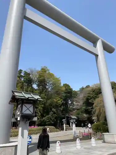 櫻木神社の鳥居