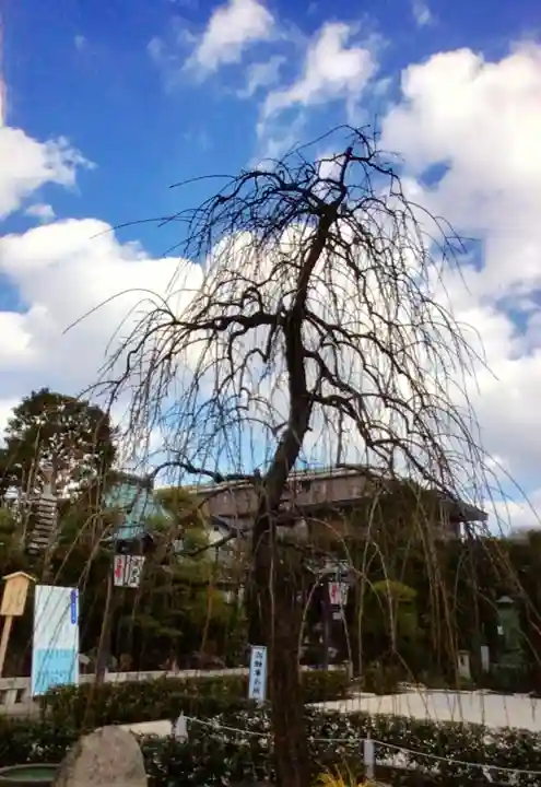 常性寺(東京都)