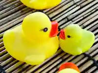 阿邪訶根神社(福島県)