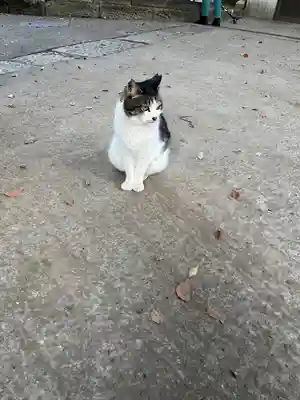 代々木八幡宮(東京都)